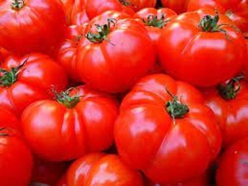 Fresh Round Shape Naturally Grown Tasty Tomato Moisture (%): 83%