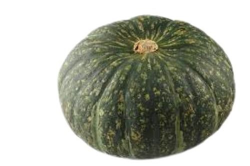 Green Pumpkin Moisture (%): 89%