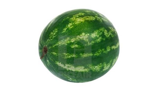 Common Green Watermelon