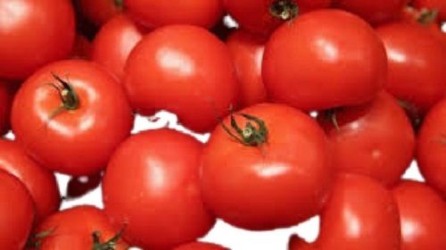 Healthy Round Shape Naturally Grown Red Fresh Tomatoes
