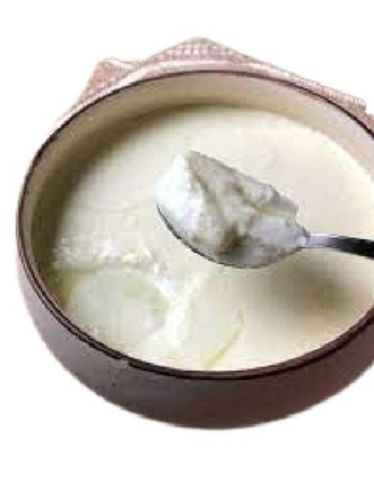 Highly Nutritious Hygienically Packed White Fresh Curd