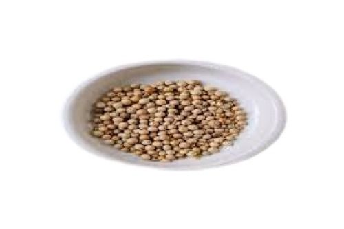 Round White Pepper