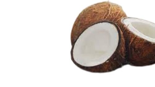 Brown  Semi Husked Fresh Coconut