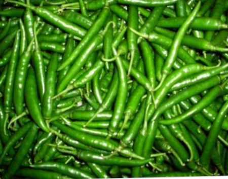 Chemical Free Green Chilli