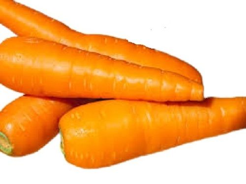 Farm Fresh Conical Shaped Naturally Grown Orange Carrot