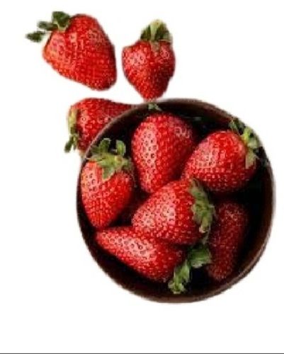 Common Long Conic Shaped Sweet Taste Farm Fresh Naturally Grown Antioxidants Enriched Red Strawberry