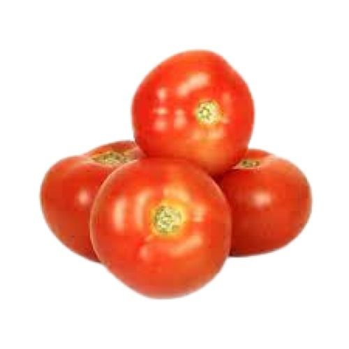 India Origin Naturally Grown Fresh Red Tomatoes Moisture (%): 94.4%