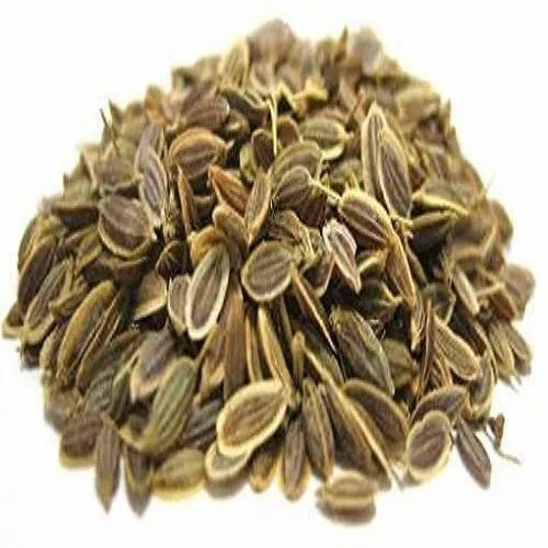 Natural Dried Dil Seeds With 24 Months Shelf Life