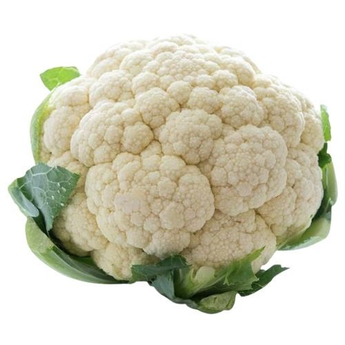 Round Shape Naturally Grown Farm Fresh Healthy Raw Cauliflower Moisture (%): 92%