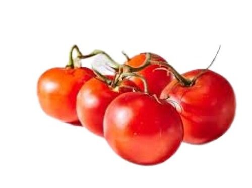 Tasty And Healthy Farm Fresh Round Shape Red Raw Tomato