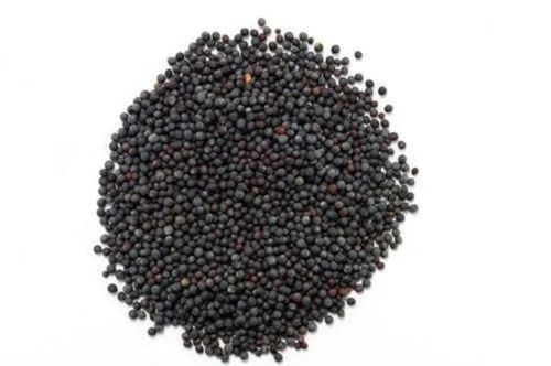 2% Ash 6% Imperfect Ratio Agricultural Grade Hybrid Black Mustard Seeds