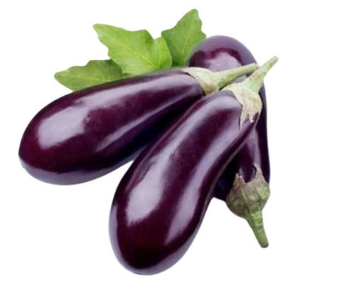 Organic 10 % Moisture Contain Raw Brinjal For Cooking