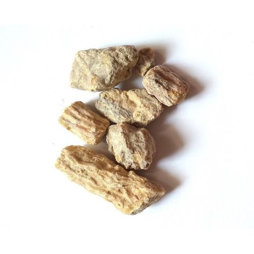 Pure And Dried Solid Damar Batu