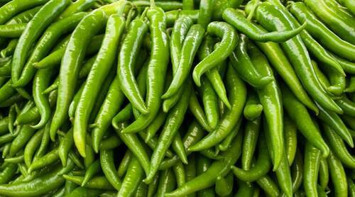 A Grade Indian Origin Common Cultivated Spicy Taste Fresh Green Chillies