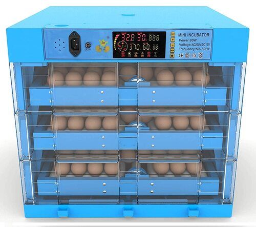 470x450x12 Mm 161 Litres Incubator For Commercial Use