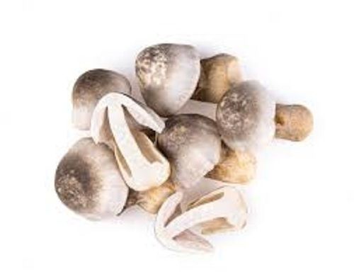 Paddy Straw Mushroom - Organic, A Grade | Fresh White Color, High Protein 30-45%, Available in 5kg, 10kg, 20kg Packages, Store in Cool and Dry Place, 15-Day Shelf Life