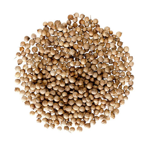 99% Pure And Raw Commonly Cultivated Dried Coriander Seeds