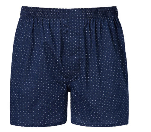 Blue Breathable Printed Cotton Boxer Short For Boys