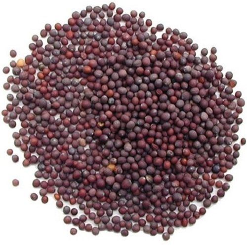 Commonly Cultivated 90% Pure And Natural Dried Mustard Seeds