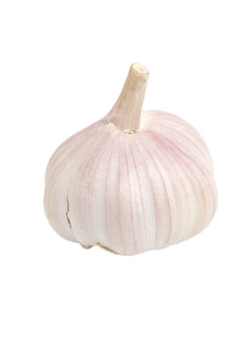 Round Commonly Cultivated Raw And Fresh Garlic