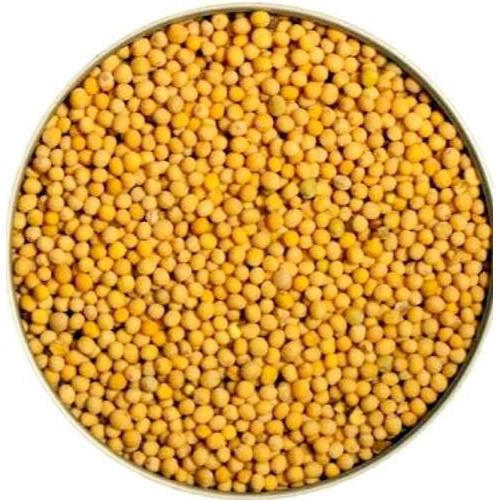 Natural Dried Organic Yellow Mustard Seed