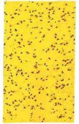 Plywood Board Or Hardboard Cardboard Yellow Sticky Trap Application: Pest Control