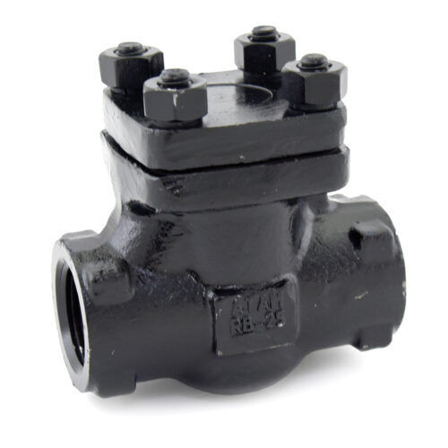 Socket Welded Ends Class-800 Drop Forged Steel Horizontal Lift Check Valve