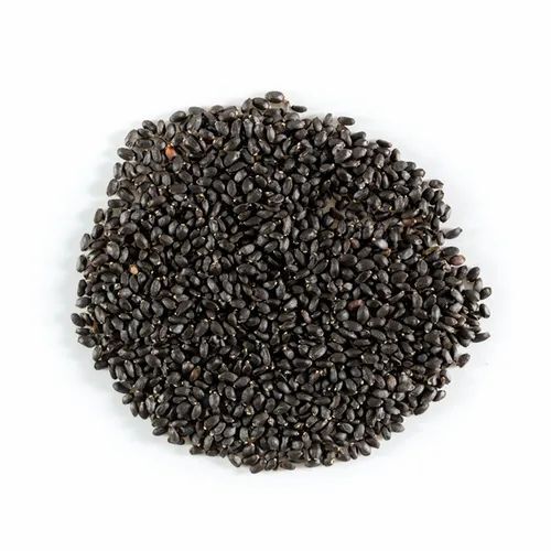 Pure Black Basil Seed
