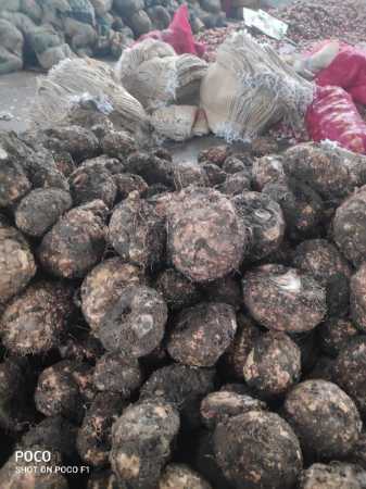Dried Round Elephant Yam with 2 Months of Shelf Life