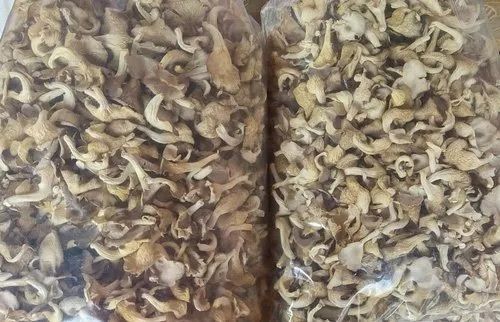  30 Kg Off White Sliced Shape Indian Organic A Grade Dried Oyster Mushrooms 