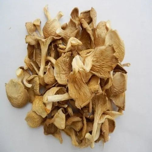 Indian Yellow 1 Kg Dried Filament -Shaped Ege Organic Pan Oyster Mushrooms 