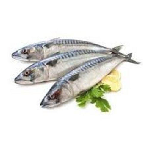 Pacific Sea Foods Fish