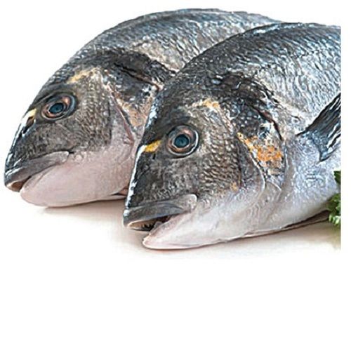 Fresh And Healthy Frozen Fish