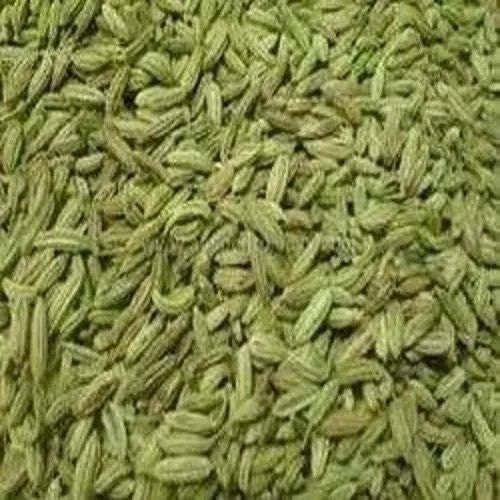 Green Organic Fresh Cumin Seeds