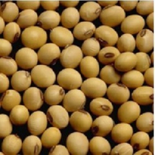 Healthy Soya Lecithin - Fine Ground Blended, 100% Eco-Friendly & Chemical-Free | A Grade Quality, 100% Safe, No Side Effects