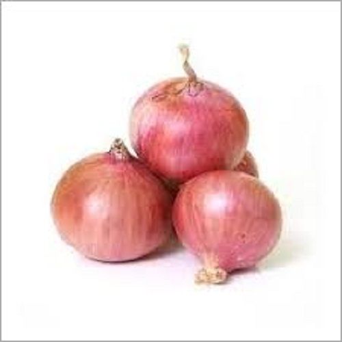 Round Shaped Raw Red Onions Enriched With Antioxidants And Vitamins  Moisture (%): 75 - 86%