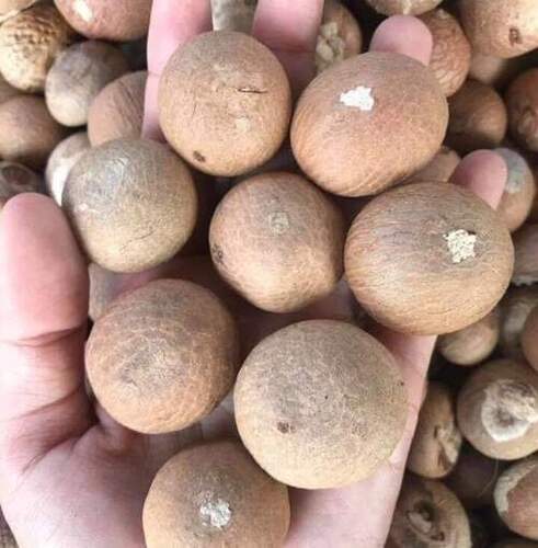 Brown A Grade Betel Nut With 1 Year Shelf Life