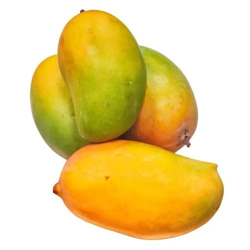 Delicious Tasty And Sweet Commonly Cultivated Whole Fresh Mango