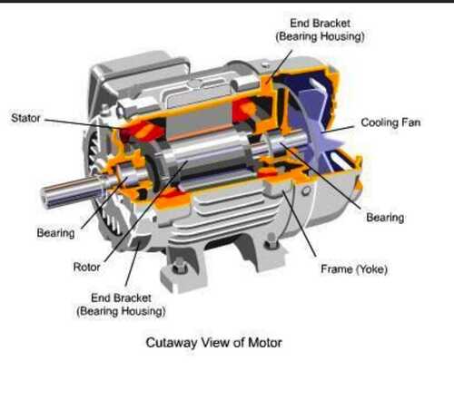 electric motor