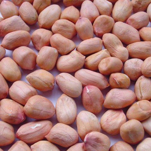 Natural Dried Groundnut Seeds For Cooking And Medicine