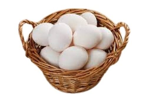 5 G Protein And Calcium Enriched Oval Shaped Chicken Origin White Fresh Eggs Shelf Life: 7 Days