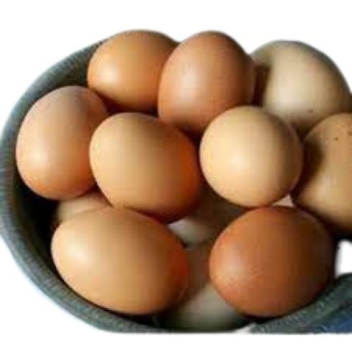5 Gm Protein Enriched Chicken Origin Fresh Oval Shaped Brown Eggs