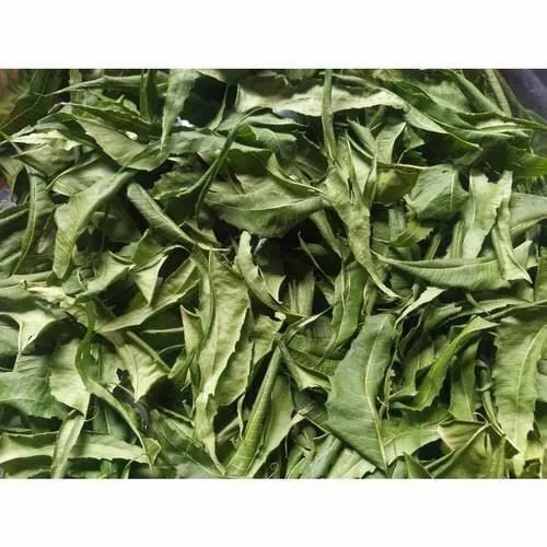 Dry Green Neem Leaves For Medicine Use