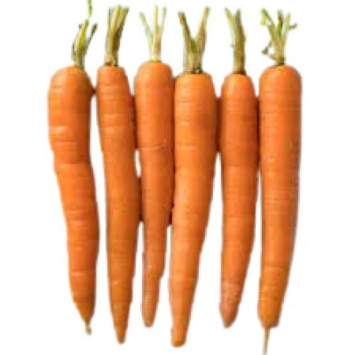 Healthy Delicious Taste Origin Long Shape Naturally Grown Fresh Carrota  Moisture (%): 87.5%