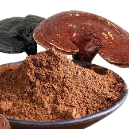 Healthy Natural Herbs Extracted Pure Ganoderma Extract Powder