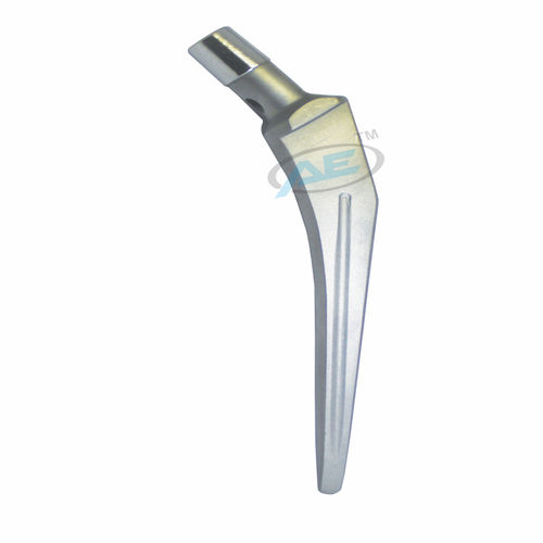 Silver Mullar Stem Hip Prosthesis