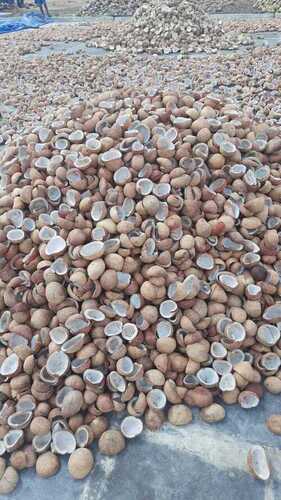 Whole Dried Coconut Copra For Food Product And Confectionery