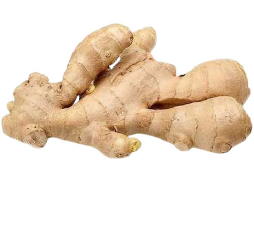 7 % Moisture Preserved Fresh Ginger And Dry Place Preserving