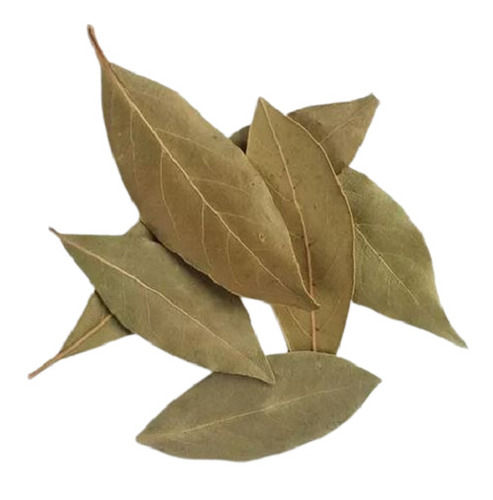 Brown Dry Place Storage Minty Taste Dried Organic Bay Leaf For Cooking