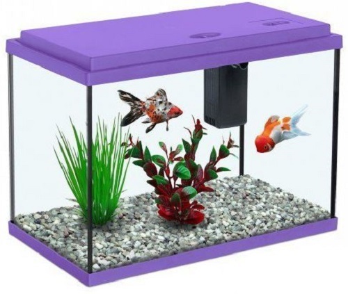 16 X 8 X 10 Inch Transparent Glass Made Aquarium Fish Tank at 3500.00 INR  in Howrah